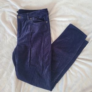 JCrew Velvet stretch Pant - 32